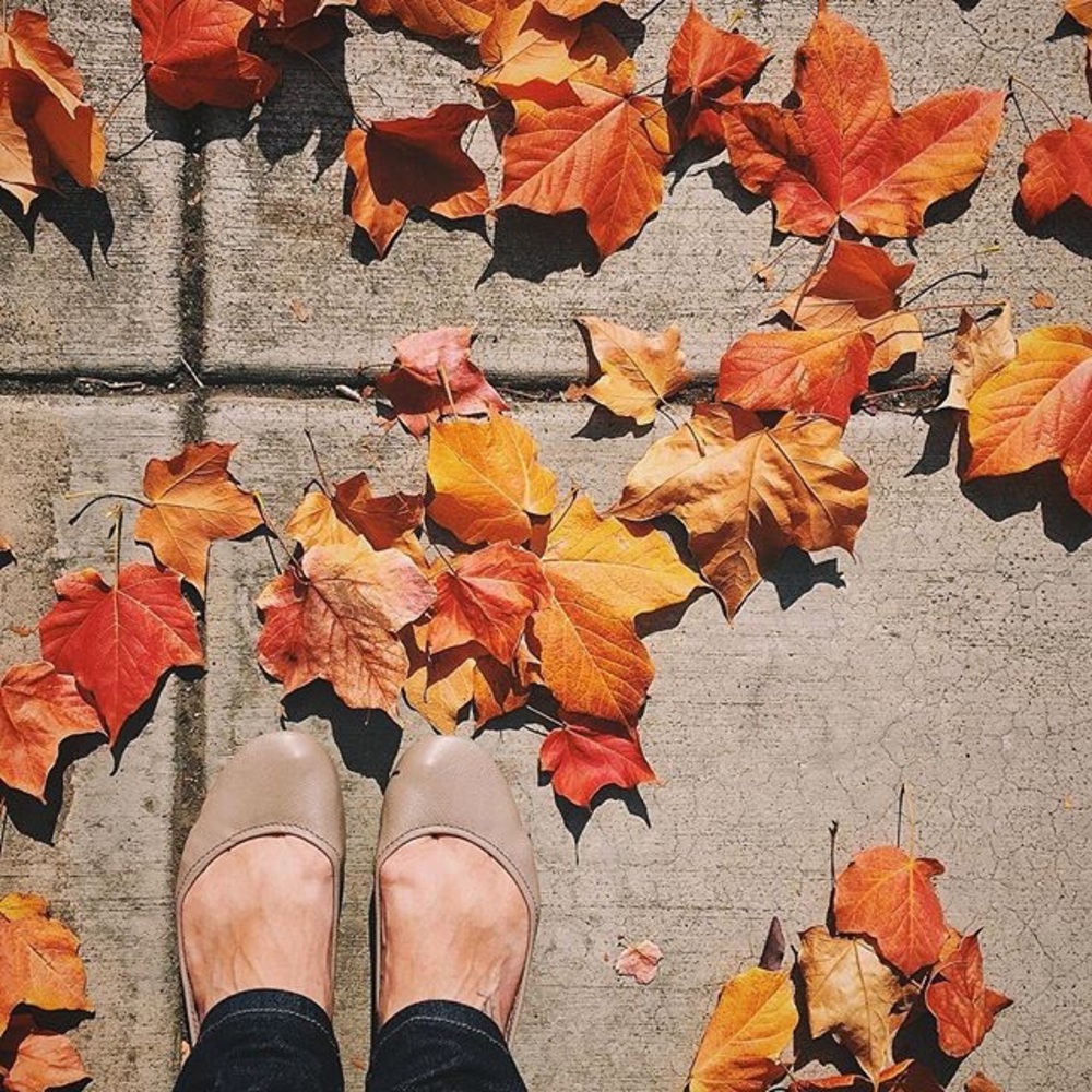 Taupe Tieks w/h Tarrago